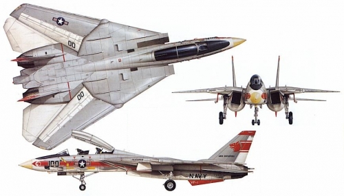 2667     И.     Американский самолет  F-14A  Tomcat