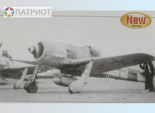 02419  Тр.  Немецкий истребитель  Luftwaffe FW190A-6/8