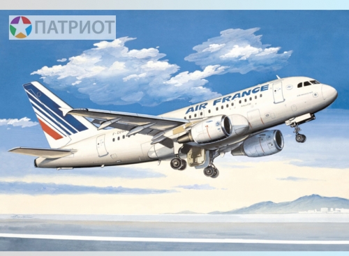 14429  В.    Французский авиалайнер А-318 Air France
