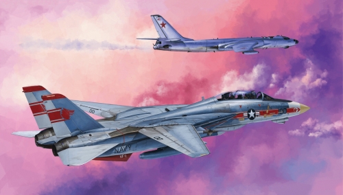 2667     И.     Американский самолет  F-14A  Tomcat