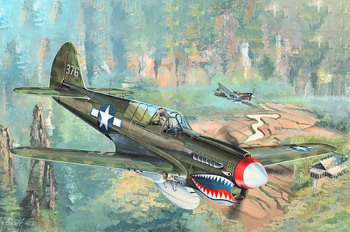 02212  Тр.  Американский истребитель-штурмовик  P-40N Kitty hawk