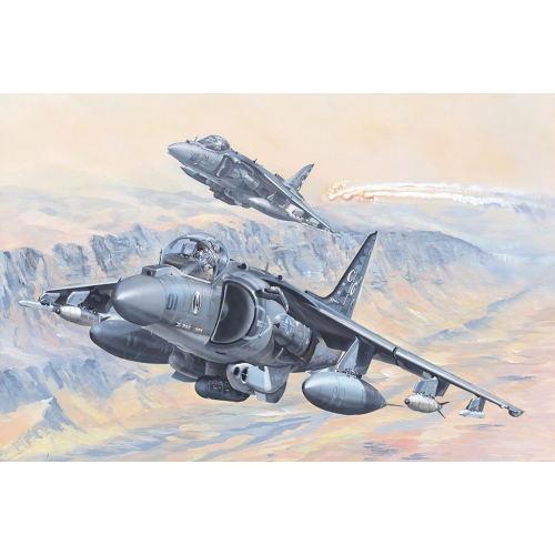 81804     HB.    Американский штурмовик вертикального взлёта и посадки AV-8B Harrier II.