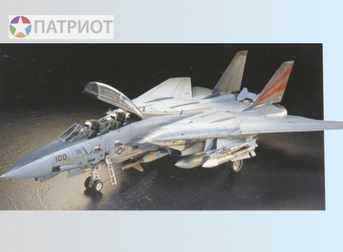 60313  Т.  Американский истребитель  GRUMMAN F-14A TOMCAT BLACK KNIGHTS