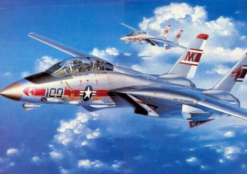 2667     И.     Американский самолет  F-14A  Tomcat
