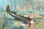02212  Тр.  Американский истребитель-штурмовик  P-40N Kitty hawk