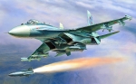 7295   З.   Российский многоцелевой истребитель Су-27СМ