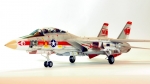 2667     И.     Американский самолет  F-14A  Tomcat