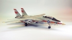 2667     И.     Американский самолет  F-14A  Tomcat