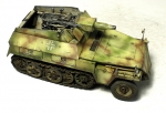6102    Д.    Немецкий бронетранспортер SD.KFZ. 250/8 NEU 7.5CM KWK37(L/24) "STUMMEL".