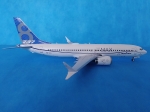 7026    З.    Американский пассажирский авиалайнер "Боинг 737-8 MAX"