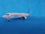 7026    З.    Американский пассажирский авиалайнер "Боинг 737-8 MAX"