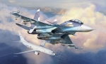7314   З.   Советский многоцелевой истребитель завоевания превосходства в воздухе "СУ-30 СМ" и 2 пилота
